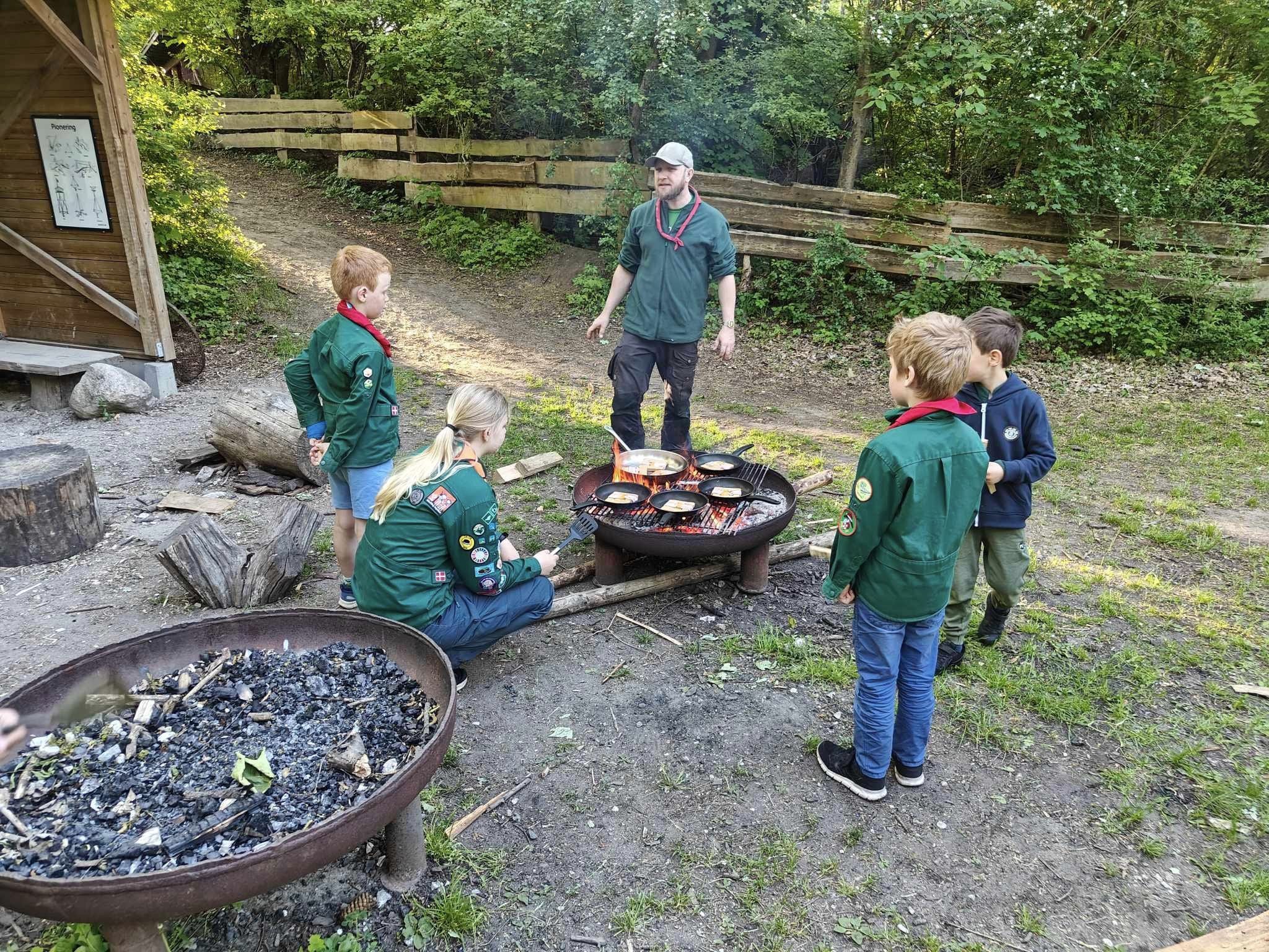 Nye Bævere Kan Starte Efter Sommerferien