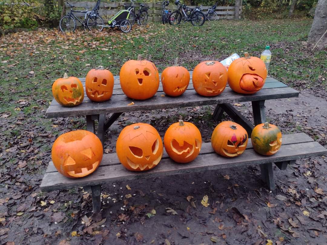 Halloween-hygge med græskar og bål